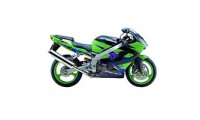 2002-2003 Kawasaki ZX9R Fairings Canada