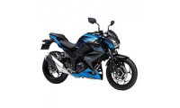 Kawasaki Z250/Z300 Fairings Canada