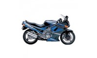 Kawasaki ZZR600 Fairings Canada