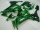 2008-2010 Kawasaki ZX10R Motorcycle Fairings - Glossy Black Green Flame Canada