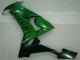 2008-2010 Kawasaki ZX10R Motorcycle Fairings - Glossy Black Green Flame Canada