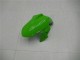 2013-2024 Kawasaki Ninja 300 EX300R Motorcycle Fairings - White Green Black Canada