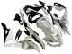 2019-2025 Kawasaki ZX25R ZX-25R Motorcycle Fairings - White Silver Green Black Trick Star Canada