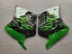 1993-2003 Kawasaki ZZR1100 Motorcycle Fairings - Glossy Black Green Flame Canada