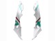 2017-2018 BMW S1000RR Motorcycle Fairings - White Green Canada