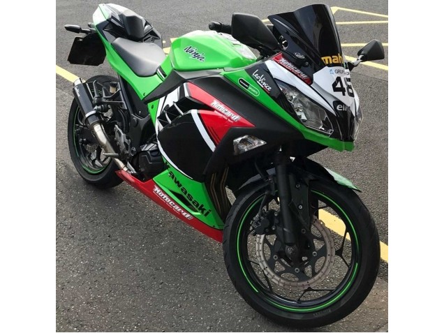 2013-2024 Kawasaki EX300 Motorcycle Fairings - Green White Red Black Elf Canada