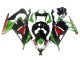 2013-2024 Kawasaki EX300 Motorcycle Fairings - Green White Red Black Elf Canada