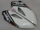 2004-2005 Honda CBR1000RR Motorcycle Fairings - White Blue Red Glossy Black Star Carrera Lee Canada