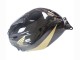 2005-2006 Honda CBR600RR Motorcycle Fairing - Black Gold Canada