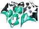 2007-2008 Honda CBR600RR Bike Fairings - Green Glossy Black Canada