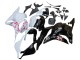 2009-2012 Honda CBR600RR Motorcycle Fairings - White Cherry Blossom Glossy Black Canada
