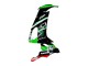 2008-2010 Kawasaki ZX10R Motorcycle Fairings - Green White Red Black Monster Elf 66 Canada