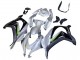 2016-2020 Kawasaki ZX10R Motorcycle Fairing - Silver Green Black Canada