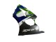 1998-1999 Kawasaki ZX6R Motorcycle Fairings - Green White Blue Silver Glossy Black Canada