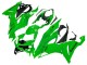 2019-2022 Kawasaki ZX6R Motorcycle Fairings - Green Canada