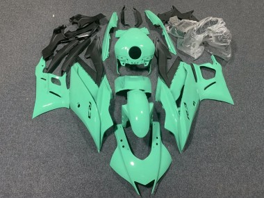 2022-2024 Yamaha YZF R3/R25 Motorcycle Fairings - Light Green Canada