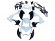 2013-2018 Kawasaki Z800 Motorcycle Fairings - White Glossy Black Green Canada