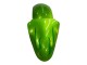 2000-2001 Kawasaki ZX9R Motorcycle Fairings - Green Flame Canada