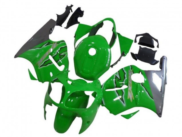 2002-2006 Kawasaki ZX12R Motorcycle Fairings - Green Silver Canada