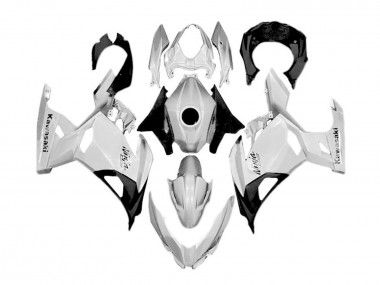 2018-2024 Kawasaki Ninja 400 Motorcycle Fairings - White Silver Black Canada